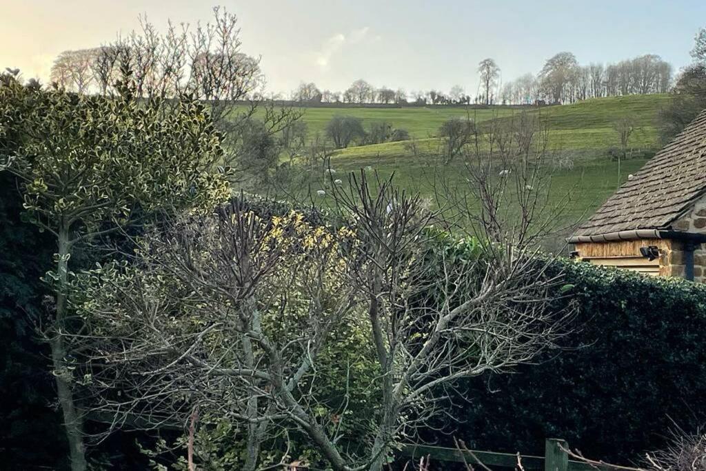 Cotswolds Cottage Ilmington With Wood Burning Stove & Bbq - Pet Friendly Чиппінг-Камден Екстер'єр фото